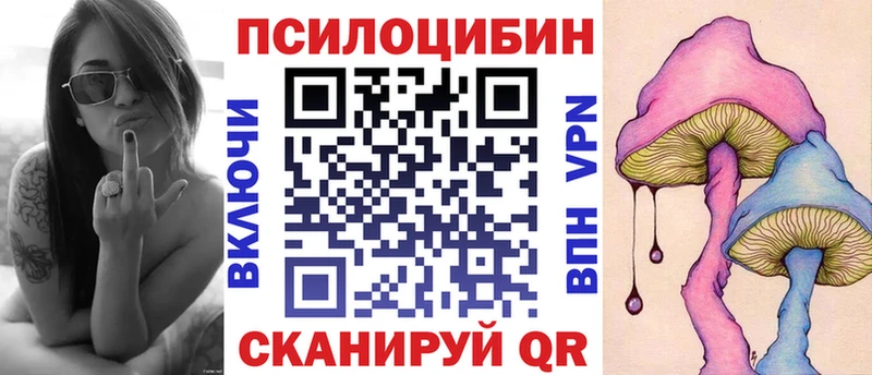 площадка клад  Пучеж  Галлюциногенные грибы Magic Shrooms 