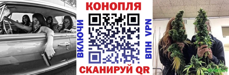 мега ссылки  Пучеж  Конопля семена 